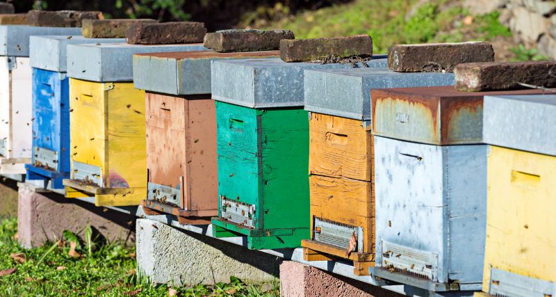 Cómo se fabrican las colmenas para las abejas